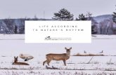 LIFE ACCORDING TO NATURE’S RHYTHM · If you have any questions regarding the book, please contact the editors. ... 4 Life according to nature’s rhythm 26 5 Culinary calendar –