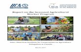 Report on the Seasonal Agricultural Worker Programrepositorio.iica.int/bitstream/11324/2679/1/BVE17038753i.pdf2 Literature Review Introduction: The Seasonal Agricultural Worker Program