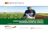 SYNTHESIS REPORT AGRICULTURAL FINANCE POLICY …...synthesis report agricultural finance policy coordination in africa lessons from burkina faso, ethiopia, ghana, morocco and zambia