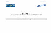 COACH Executive Report - ec.europa.eu · COACH Executive Report COACH Executive Report Page 5 of 38 1. General presentation of the project 1.1. Objectives The objective of the COACH