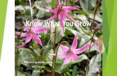 Know What You Grow - BC Invasives · Jennifer Adhika, BSc Starter Plant Sales Manager NATS Nursery Ltd. Native Plants Start Here jennifer@natsnursery.com. Title: Know What You Grow