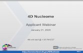 4D Nucleome Applicant Webinar - NIH Common Fund · the nucleus, using genomic and imaging data as well as newly developed visualization and analysis. • 4DN Organization and Function