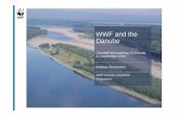 WWF and the DanubeWWF‘s study on flood mitigation source: WWF (2006) for a living planet R Wetland conservation and restoration WWF Strategy for the Danube, 2010-20: 1) Protection: