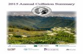 2015 Annual Collision Summary · The Washington State Patrol has made available the Collision Analysis Tool (CAT), available at wa gov/wsp/ collisionanalysistool/, for providing real-time