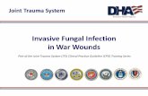 Invasive Fungal Infection in War Wounds...first-line antifungal agents. Wounds often have bacterial growth as well, and broad-spectrum antibiotics covering both gram-positive and gram-negative