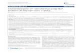RESEARCH ARTICLE Open Access Characterization of necrosis ... · Characterization of necrosis-inducing NLP proteins in Phytophthora capsici Bao-Zhen Feng1, Xiao-Ping Zhu1,LiFu1, Rong-Fei