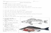 rodensaquaticscience.weebly.comrodensaquaticscience.weebly.com/.../8/6/2/0/8620262/… · Web viewWhere is the lateral line found & what is its job? External Anatomy: Are there any