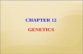 CHAPTER 12 GENETICS - psau.edu.sa · Binary fission means “dividing in half” –Occurs in prokaryotic cells –Two identical cells arise from one cell –Steps in the process: