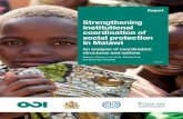 Strengthening institutional coordination of social ... · 4 Contents Acknowledgements 3 List of boxes, tables and figures 5 Acronyms 7 Executive summary 9 1 Introduction 13 1.1 Background