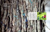The Center for Northern Woodlands Education€¦ · The mission of the Center for Northern Woodlands Education is to advance a culture of forest stewardship in the Northeast and to