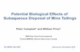 Potential Biological Effects of Subaqueous Disposal of ...bc-mlard.ca/files/presentations/2018-7...tailings.pdf · sediment stratum The effective contact zone between aquatic biota