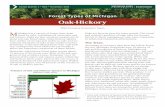 Oak-Hickory - College of Agriculture & Natural Resources · oak and five species of hickory. Michigan oak species are divided into two subgroups — red oaks and white oaks. Red oaks