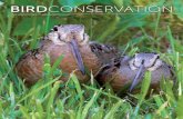 BIRDCONSERVATION...BIRDCONSERVATION Birds in Working Landscapes DEPARTMENTS 2 Bird’s Eye View 4 On the Wire Join us online! 30 Final Glimpse abcbirds.org ABC is the Western Hemisphere’s