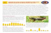 ANALYSIS OF ILLEGAL WILDLIFE SHIPMENTS FROM LATIN … · TO BE TT ER UNDERS TAND wildlife tra"cking from Latin America (Mexico, the Caribbean, Central America and South America) to