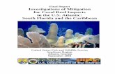 Investigations of Mitigation - Coral Reef · Investigations of Mitigation for Coral Reef Impacts in the U.S. Atlantic: South Florida and the Caribbean United States Fish and Wildlife