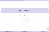Ethnobotany - ashipunov.meashipunov.me/shipunov/school/biol_310/lec_310_05.pdf · Shipunov (MSU) Ethnobotany Lecture 5 12/17. Other C3 grains Rye Rye taxonomy Several species, only