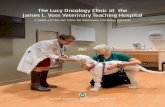 The Lucy Oncology Clinic at the James L. Voss Veterinary ...csu-cvmbs.colostate.edu/Documents/lucy-oncology-brochure.pdf · other supporters, the veterinary oncology team at the FACC