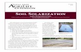 Soil Solarization - Texas A&M University · Soil solarization is an environmentally friendly method of using the sun’s power to control pests such as bacteria, insects, and weeds