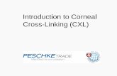 Introduction to Corneal Cross-Linking (CXL) · Peschke® D - Standard Riboflavin Solution with Dextran for epi-off procedure • The Dresden Original: Time proven Riboflavin solution