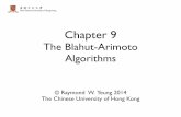 Chapter 9 - Chinese University of Hong Kong · Chapter 9 The Blahut-Arimoto Algorithms. Single-Letter Characterization • For a DMC p(y|x), the capacity C = max r(x) I(X; Y ), where