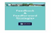 Feedback Feedforward Strategies - Weeblyscsccurriculum.weebly.com/.../9/5/14954694/feedback...Feedback is probably the best-tested principle in psychology....most effective when it