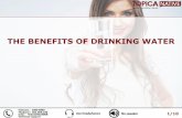 THE BENEFITS OF DRINKING WATER - qlhl.topicanative.asiaqlhl.topicanative.asia/uploads/07102016/13.10... · the benefits of drinking water. Water increases energy and puts you in a