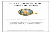 JAILS AND THE MENTALLY ILL: ISSUES AND ANALYSIS 2019-05-16آ  iii JAILS AND THE MENTALLY ILL: ISSUES