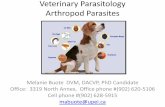 Veterinary Parasitology Arthropod Parasitespeople.upei.ca/sgreenwood/Veterinary_Parasitology...Veterinary Parasitology Arthropod Parasites Melanie Buote DVM, DACVP, PhD Candidate Office: