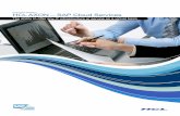 Executive Briefing HCL AXON – SAP Cloud Services · Our uniquely customizable Cloud solution allows full integration into your existing premise applications and tools. This approach