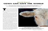 Special Report COWS CAN SAVE THE WORLD - RANGE magazinerangemagazine.com/features/summer-15/range-su15-sr-cows_save_… · 42 • RANGE MAGAZINE • SUMMER 2015 Public Belief Scientists