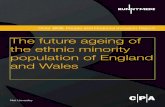 The future ageing of the ethnic minority population of ... · Europe’s identity or way of life, while anxieties about an ageing population are more regularly framed in ... future