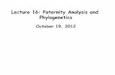 Lecture 16: Paternity Analysis and Phylogeneticssdifazio/popgen_12/lectures/oct19_paternity.pdf · Lecture 16: Paternity Analysis and Phylogenetics ... Sweet Simulation of Paternity