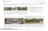 The future survival of African elephants: …690,000. However, this population is rapidly decreasing. Today, African elephants are highly endangered and are listed as ‘vulnerable’