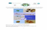 International Phytoplankton Intercomparison proficiency test in … · 2016-12-21 · 1 International Phytoplankton Intercomparison proficiency test in the abundance and composition