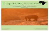 Elephant Tales Newsletter Issue 17 · 2016-04-25 · Elephant Tales Newsletter Issue 17 August 2012 Registered Charity no. 1122027 ... The Motswanans love paperwork so I am busy ...