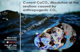 Current CaCO3 dissolution at the seafloor caused by ...€¦ · Millero, F. J. (2013) Chemical Oceanography, Fourth Edition, Boca Raton, CRC Press - Taylor & Francis Group, 591 pp.