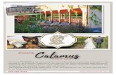 Presented by - Calamus Winery€¦ · Sue Ann Staff Estate Winery 905-562-9303 Our name CALAMUS is the Latin word for arrow. When the land was being prepared for the planting of our