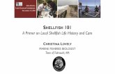 SHELLFISH 101 A Primer on Local Shellfish Life ... Shellfish Life Cycle Fertilized egg Unfertilized