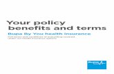 Your policy benefits and terms - Bupa/media/files/user... · Consultant with overall responsibility for your Treatment, unless you are referred by: J a Consultant . J our Direct Access