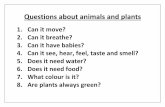 Questions about animals and plants · Questions about animals and plants 1. Can it move? 2. Can it breathe? 3. Can it have babies? 4. Can it see, hear, feel, taste and smell? 5. Does