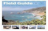 Field Guide to the Monterey Bay National Marine Sanctuary other life.Sea otters frequent kelp forests