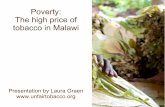 Poverty: The high price of tobacco in Malawi · Malawi population: 15 million 65% below poverty line 70% forex from tobacco 23% of total tax income from tobacco biggest exporter of