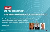 4th May 2017 CONTAINERS, MICROSERVICES, CLOUD-NATIVE TELCO · CONTAINERS, MICROSERVICES, CLOUD-NATIVE TELCO Anita Tragler, Product Manager, Networking/NFV, Red Hat Jim Logan, Director