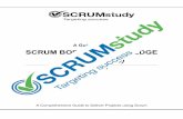 A Guide to the SCRUM BODY OF KNOWLEDGE...A Guide to the Scrum Body of Knowledge (SBOK Guide) 1.1 Overview of Scrum A Scrum project involves a collaborative effort to create a new product,