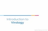 Introduction to Virology - KSU to Virology Masheal Aljumaah OCT 2018. ... (Virology Principles & Applications Book, p1) Viral Size Viral sizes are determined with the aid of electron