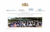 Summary report Technical workshop on principles guiding new … · 2016-07-01 · Technical workshop on principles guiding new investments in agriculture Lilongwe, Malawi, 18-19 May