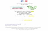 APPEL à CANDIDATURES 2019 Reconnaissance de GIEE en …draaf.occitanie.agriculture.gouv.fr/IMG/pdf/cdc... · 1. RAPPEL DU CONTEXTE ET DES ENJEUX NATIONAUX Composante majeure de la