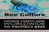 FIGHTING VARROA MITES WORLDWIDE - Bee Culture · Varroa mites mimic bee smell Varroa feed on bees in nurse phase Varroa mite reproduction ... Splits to control varroa Oxalic acid
