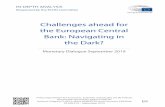 Challenges ahead for the European Central Bank: Navigating in … · Challenges ahead for the European Central Bank: Navigating in the Dark? PE 638.419 7 • Finally, despite the