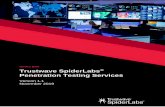 Trustwave SpiderLabs Penetration Testing Services...Your application was built to meet a specific need. Similarly, SpiderLab’s Mobile Application Penetration Testing is not applied